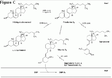 Figure C